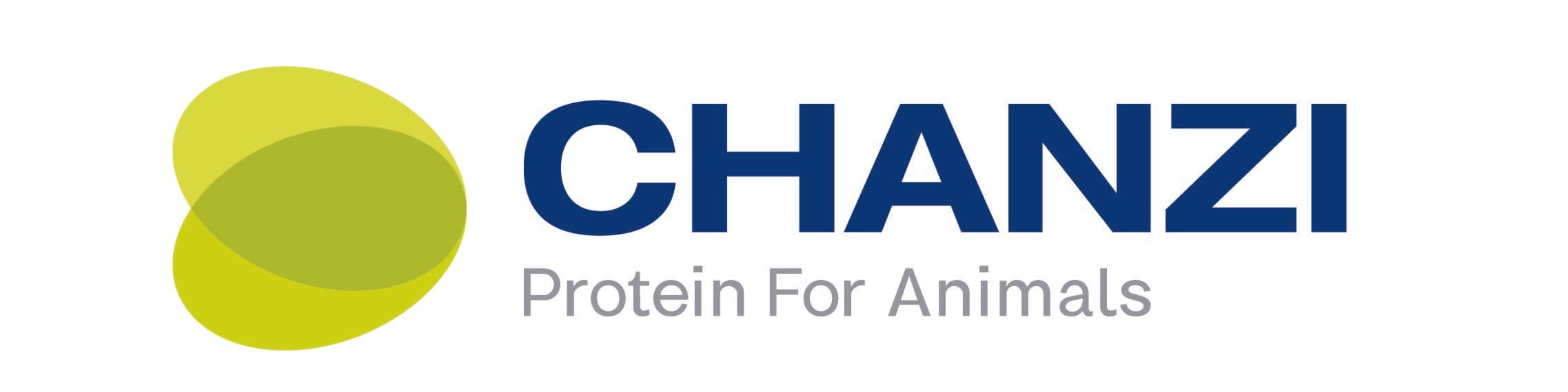 Chanzi Logo